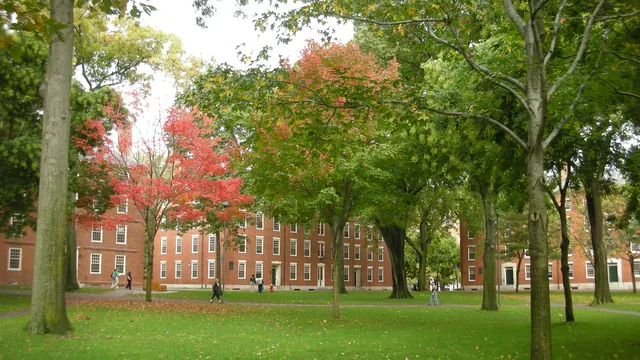 Harvard Üniversitesi kampüsü, Massachusetts