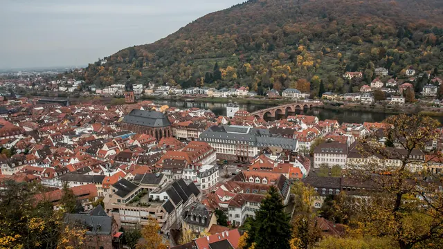 Heidelberg'in eski şehri ve kalesi